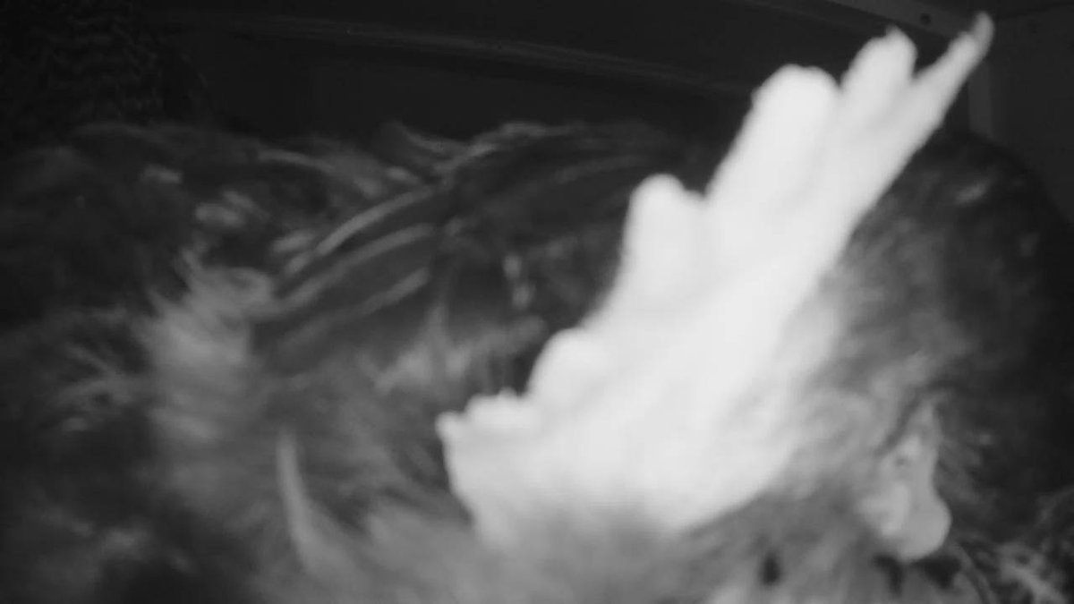 Unsecured_CCTV's tweet image. Zurich, Switzerland 🇨🇭