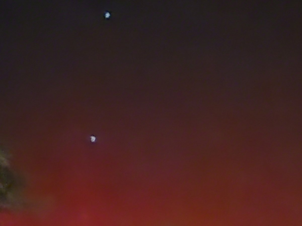 debbie_segarra's tweet image. Sopchoppy,  FL #Auror