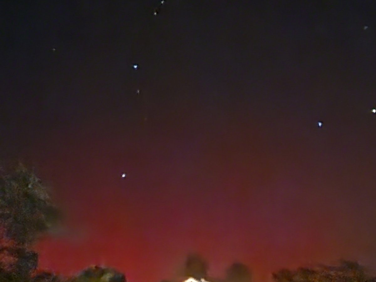 debbie_segarra's tweet image. Sopchoppy,  FL #Auror