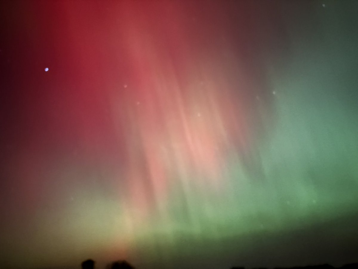 Parker Alvstad tweet media