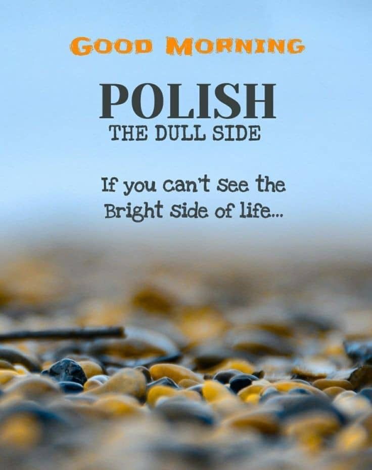 Wednesday Wisdom ⭐ 🌄