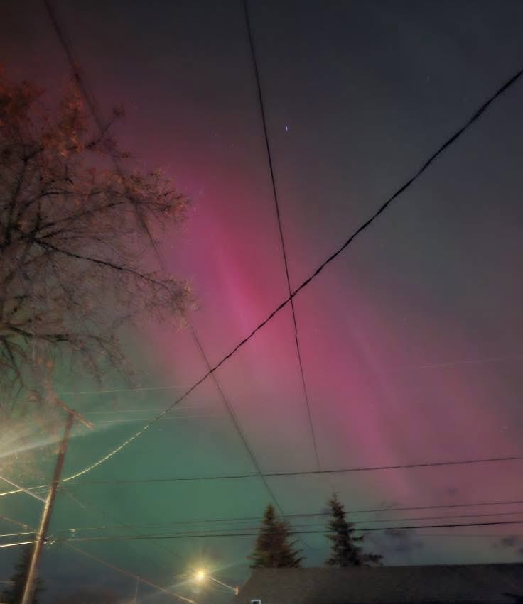 CookieHelen's tweet photo. @thepoolshark We get them up here 🇨🇦 but not usually with the pink. https://t.co/Eo7VsxqzRq
