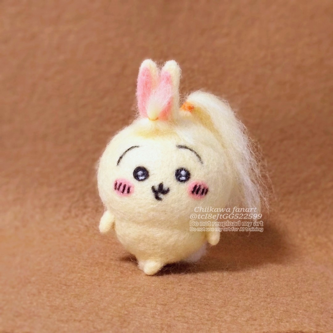 羊毛フェルト　hisapi様 羊毛フェルト hisapi様 羊毛フェルト hisapi様