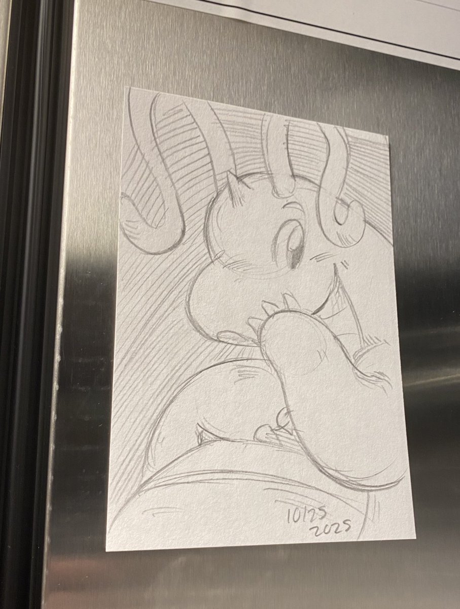 Sailor 🦭 tweet media