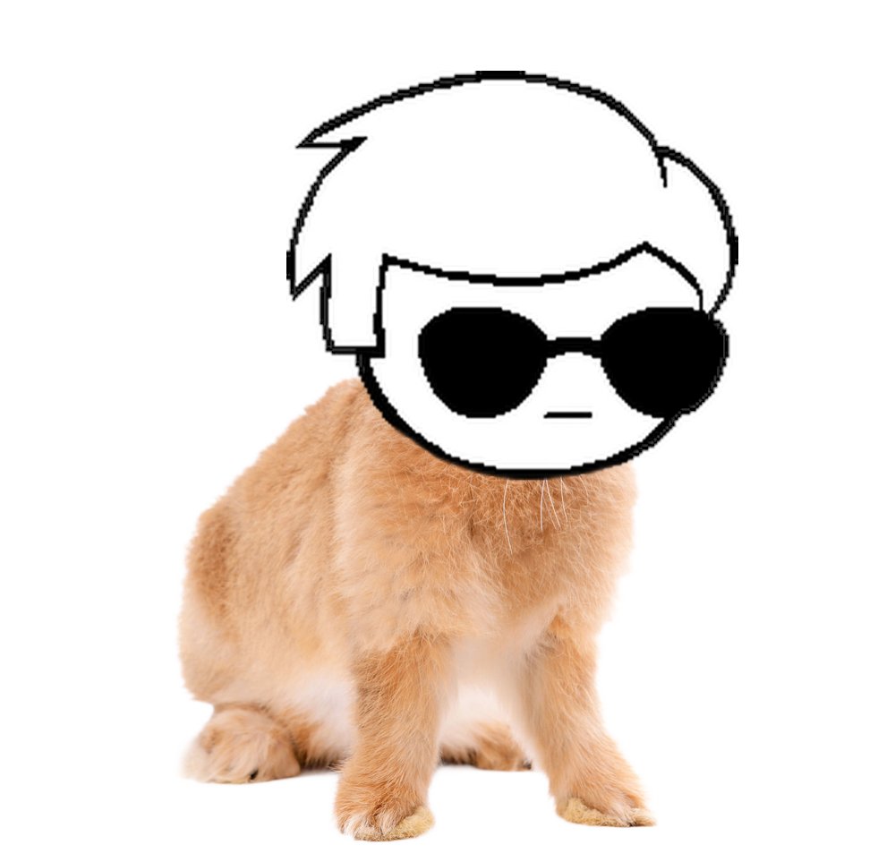 Skaia Anonymous tweet media