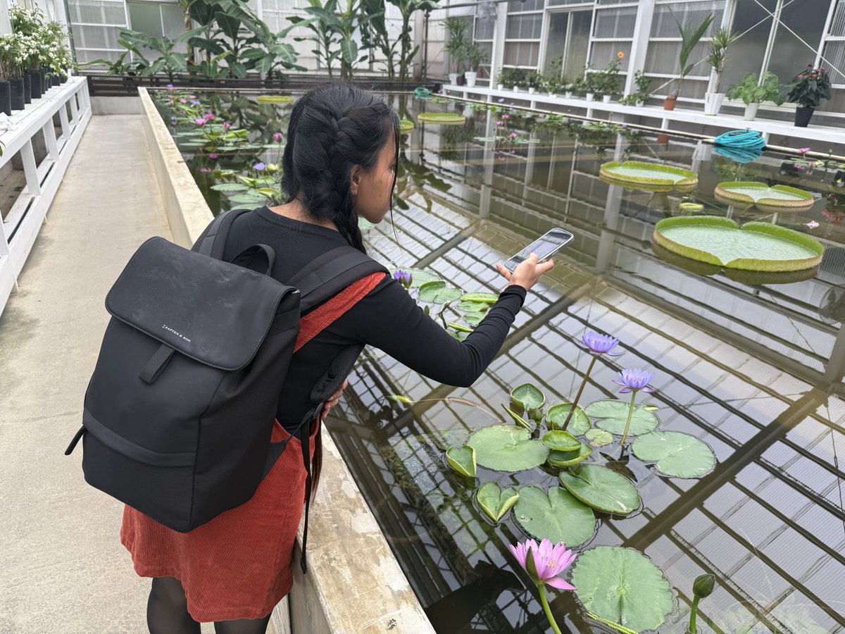 Michael Grönert tweet media