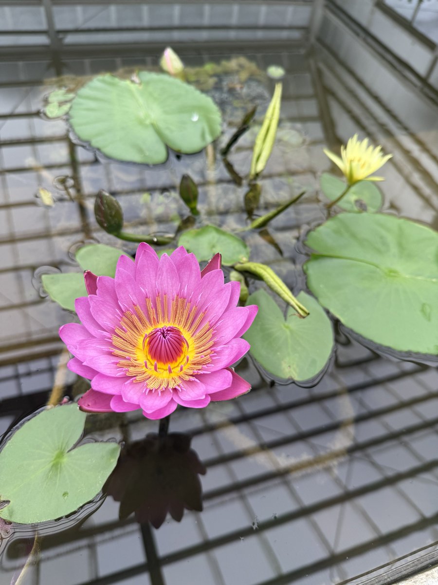 Michael Grönert tweet media