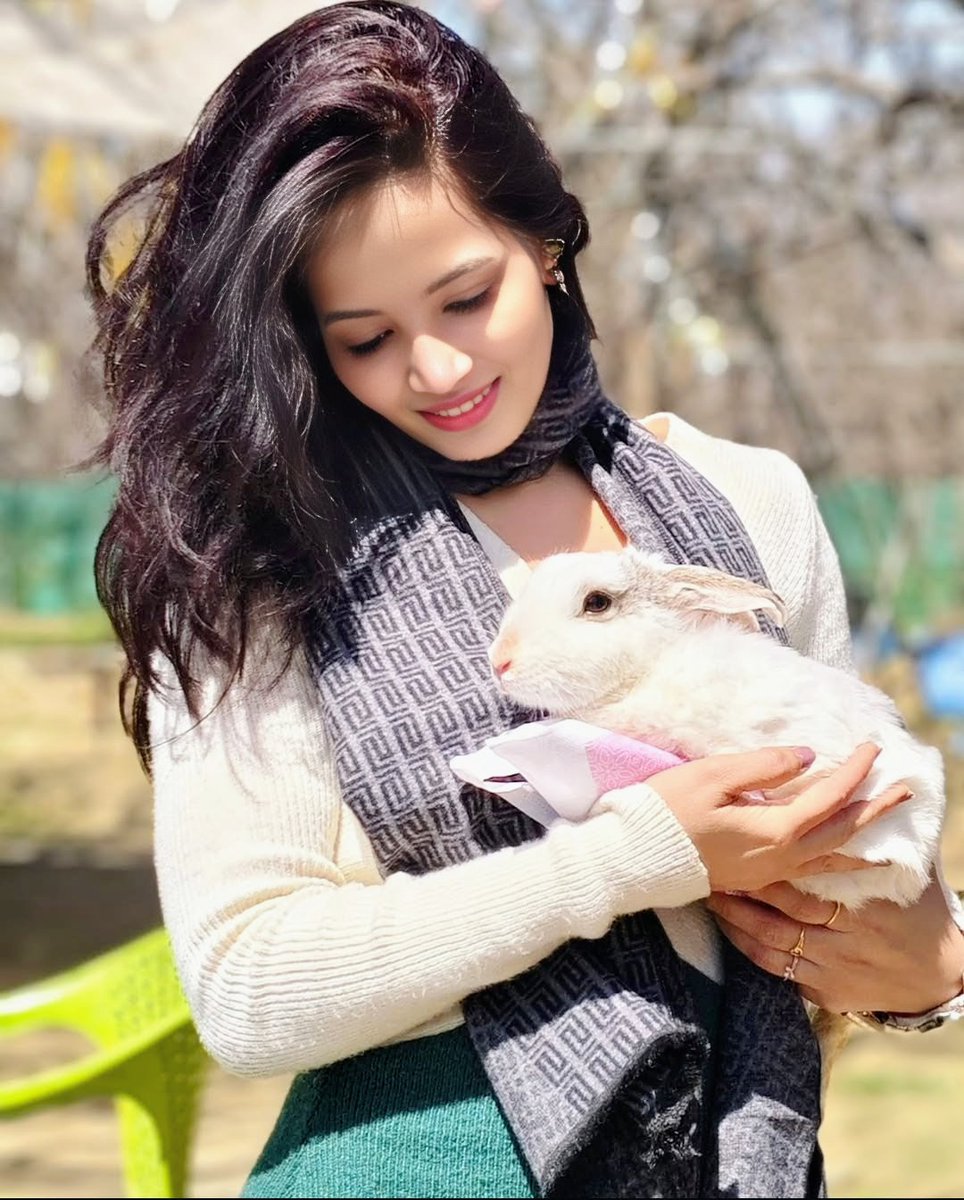 Who looks more attractive between us two ,
Me or The Rabbit?