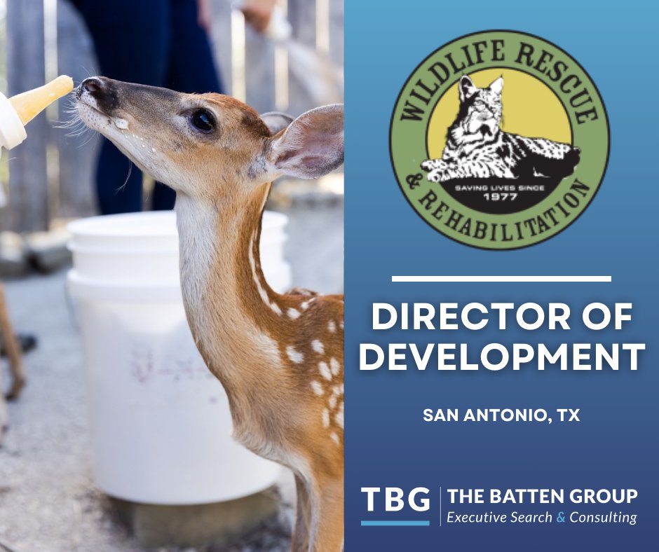 The Batten Group tweet media