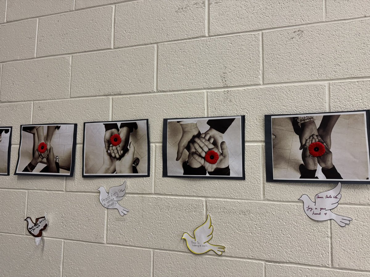 St. Angela Elementary School - TCDSB tweet media