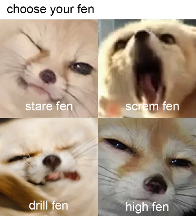 Fennec Every Hour! (@fenneceveryhr) on Twitter photo 