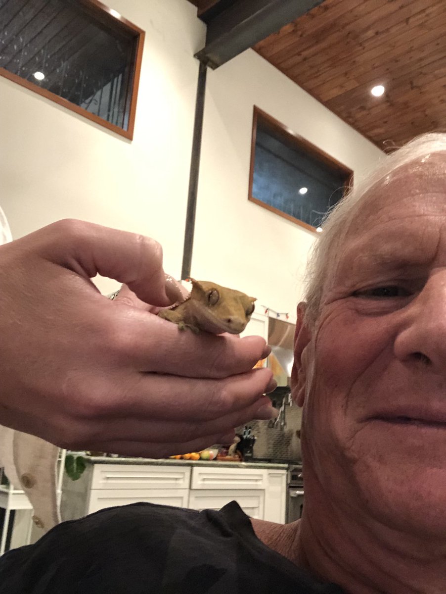 Rob Grant tweet media