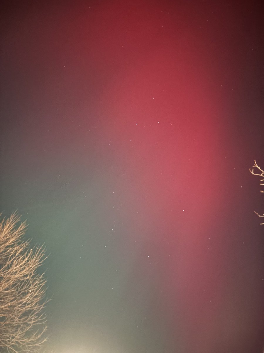 Lauren Hunter tweet media