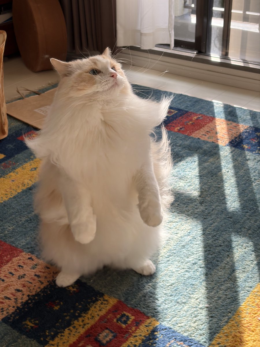 🦦眇眼🦦 (@1954love_hate_) / Posts / X