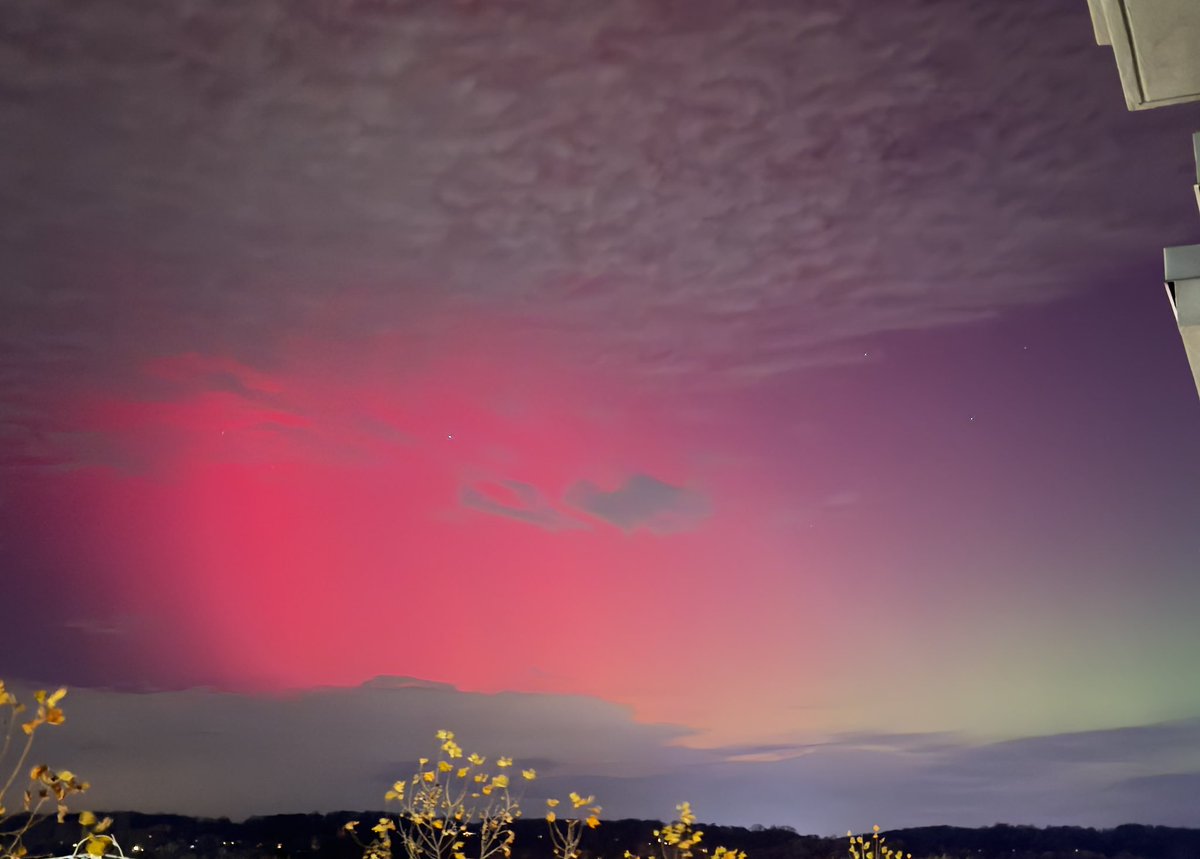 R A W S A L E R T S tweet media