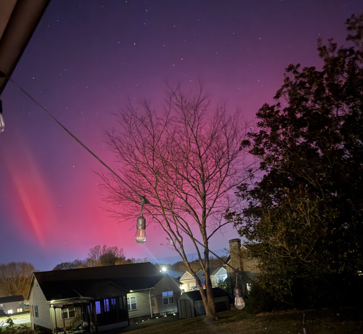 Amanda Beaver tweet media