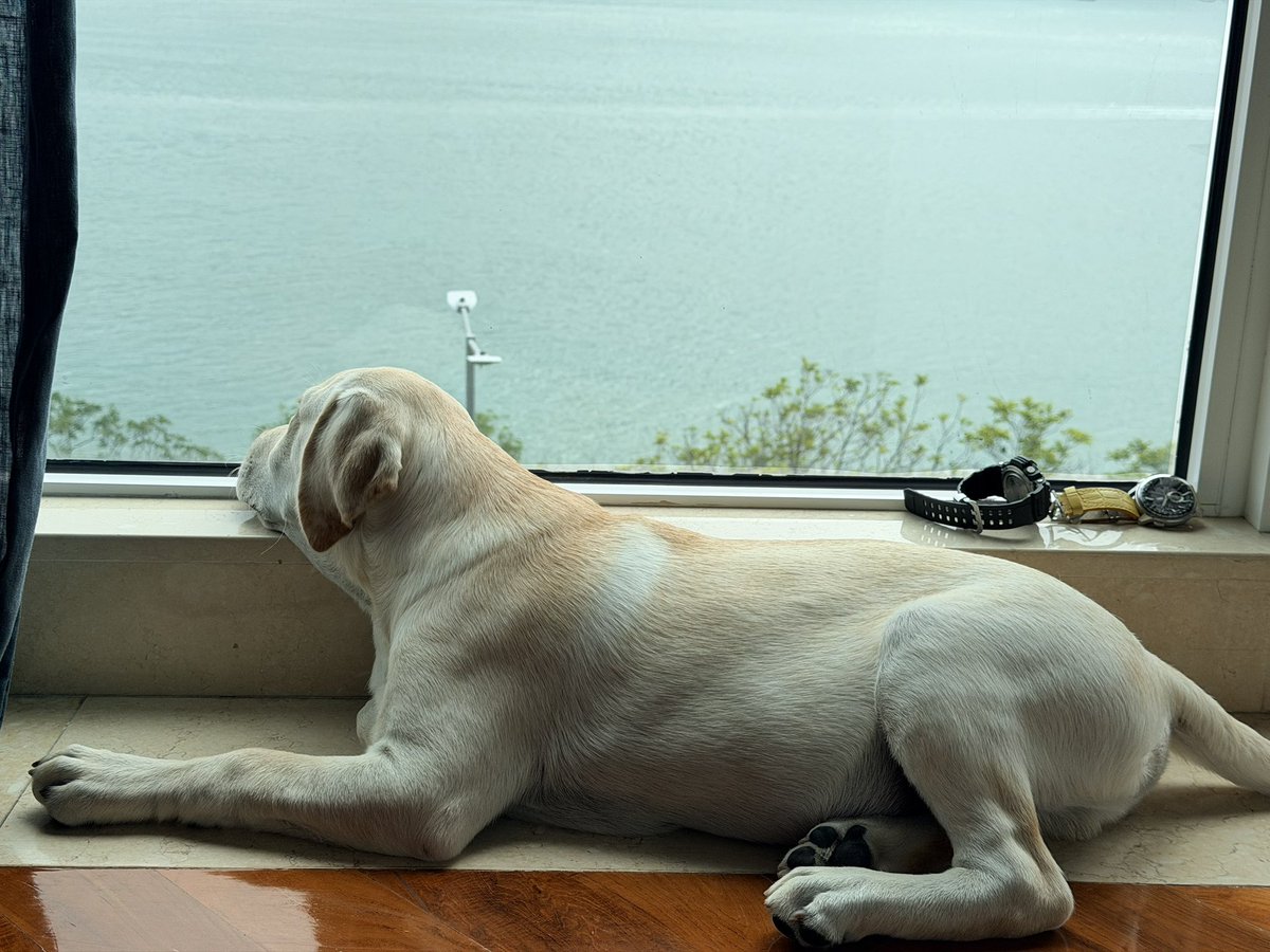 ☆ ドンちゃんです Pドラムだ!金ドン 花火外伝99ver.(ラッキートリガー Pドラドン