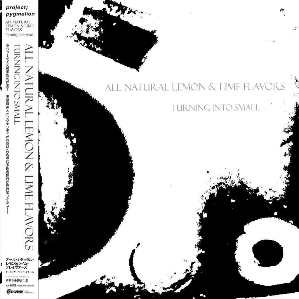 【新入荷】ニュージャージー州出身のシューゲイズ・バンド、All Natural Lemon &amp; Lime FlavorsがGern Blandstenからリリースした1998年のUSシューゲイズ革新的名盤セカンド・アルバム『Turning Into Small』が初ヴァイナル・リイシュー！ jetsetrecords.net/i/213006426499/