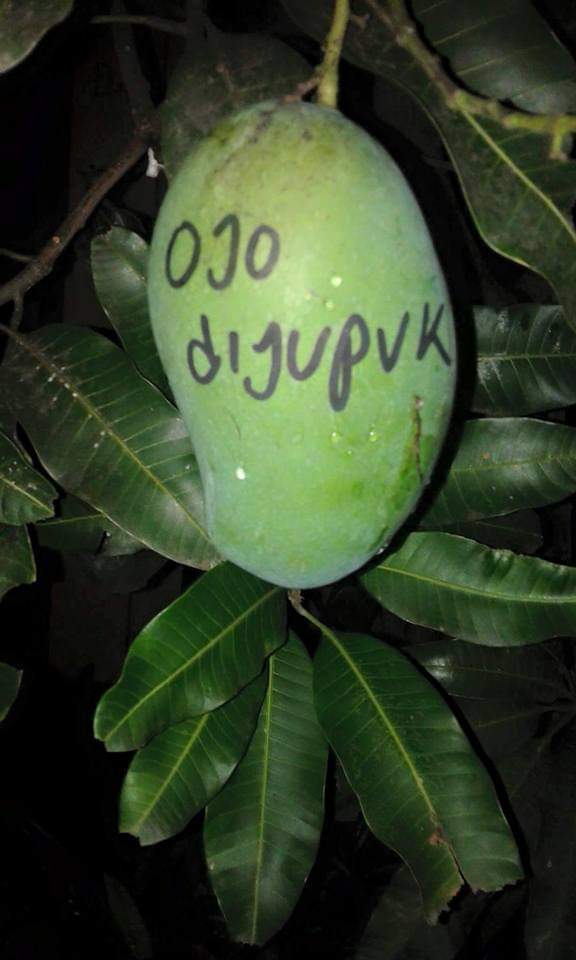 wahyu tromol (@sbkcf) on Twitter photo 