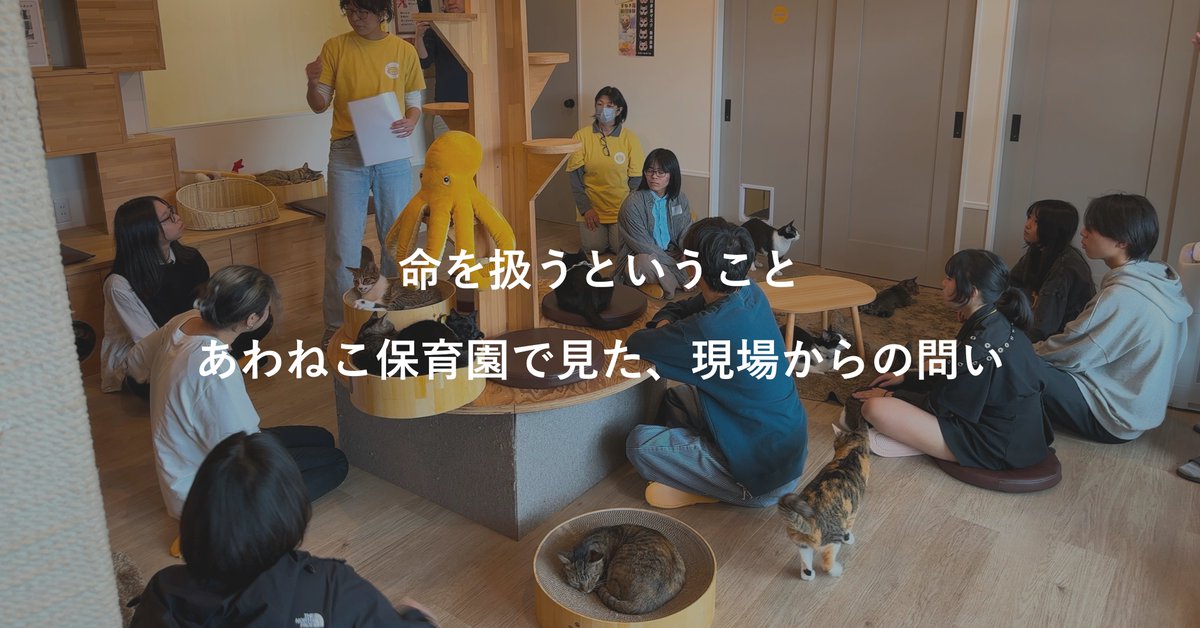 KMC_YamaSora's tweet photo. 「命を守る活動を“自分ごと”にするには?」
今回、あわねこ保育園さんと過ごした2日間の記録をnoteにまとめました。ぜひ読んでください。
#Tapaz #あわねこ保育園 #TNR活動 #神山まるごと高専 https://t.co/zXUsi3Ylwd