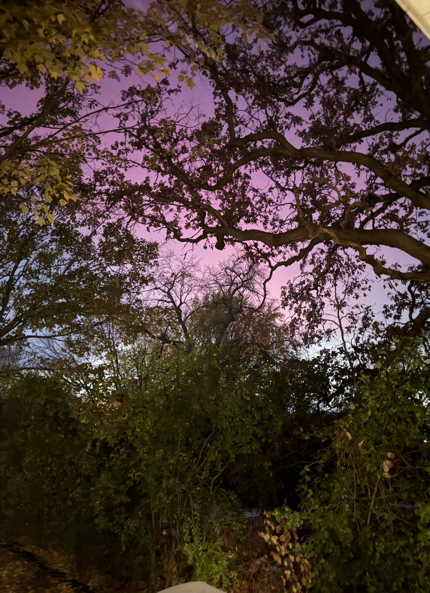 gogogunny's tweet image. Northern lights over Chicago tonight!