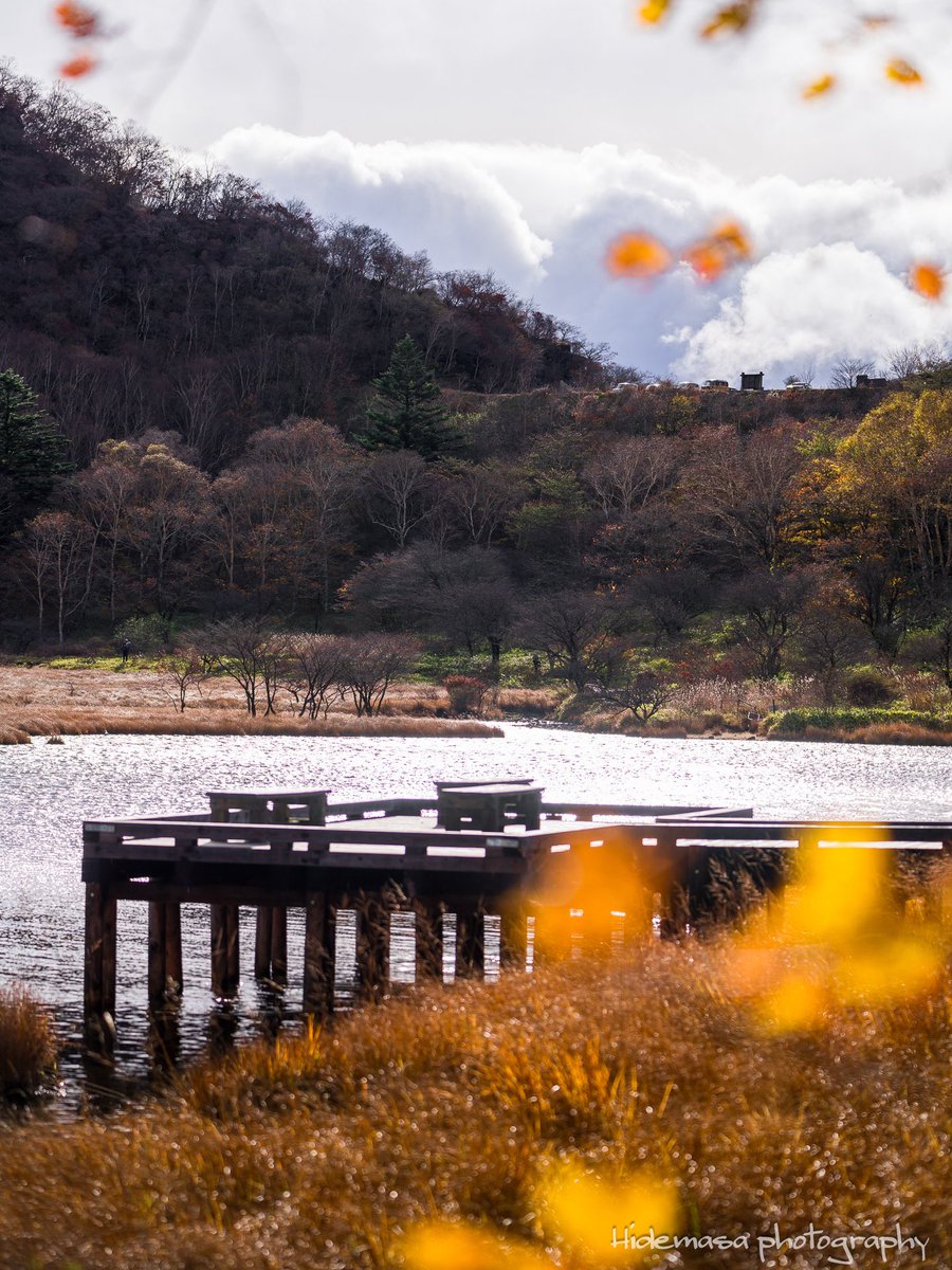 Hi_DesignFocus's tweet image. 覚満淵の紅葉

[2025.11.1]

#赤城山 
#覚満淵 
#紅葉 🍁
#ぐんま応援びと
#ぐんまの風景