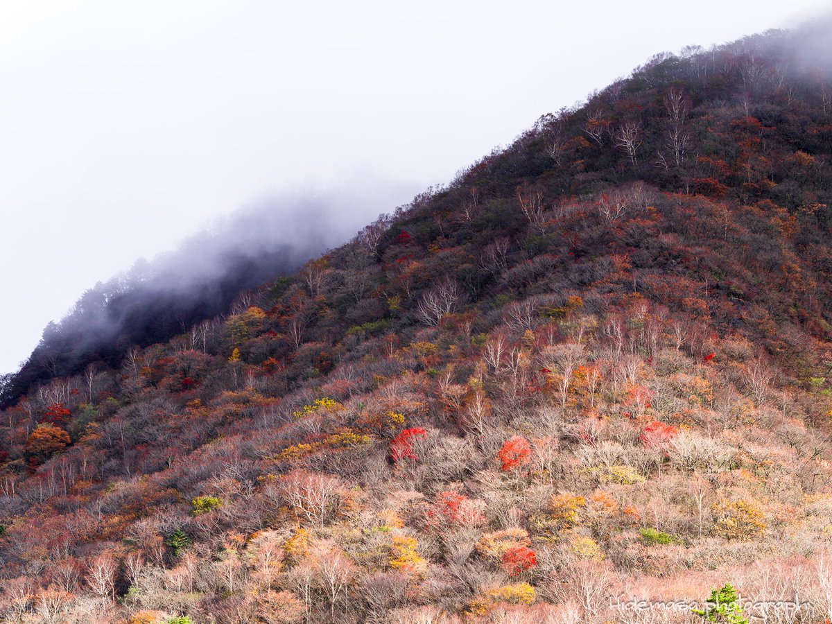 Hi_DesignFocus's tweet image. 覚満淵の紅葉

[2025.11.1]

#赤城山 
#覚満淵 
#紅葉 🍁
#ぐんま応援びと
#ぐんまの風景