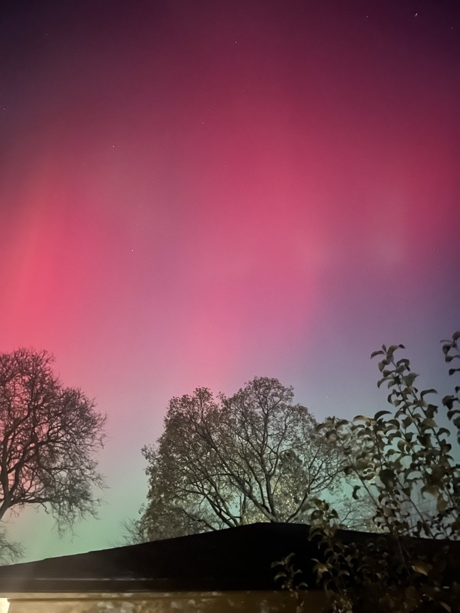 Finally saw the northern lights in my backyard tonight