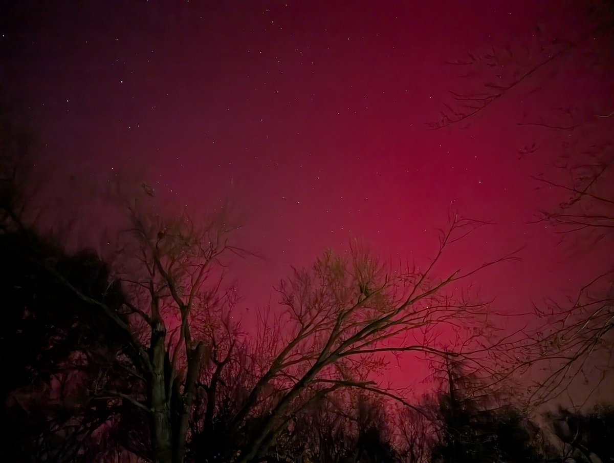 Samantha Foster tweet media