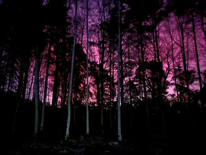 The sky was all purple.