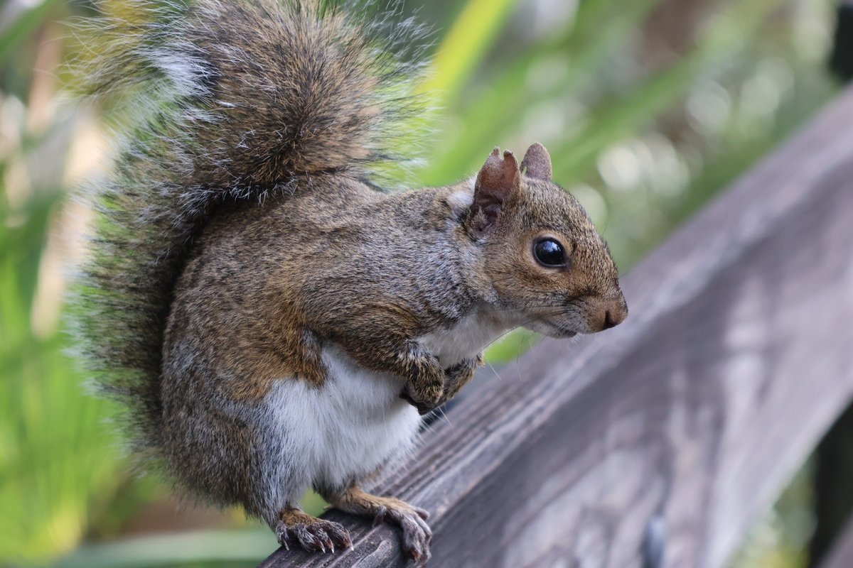 Luke Strominger tweet media