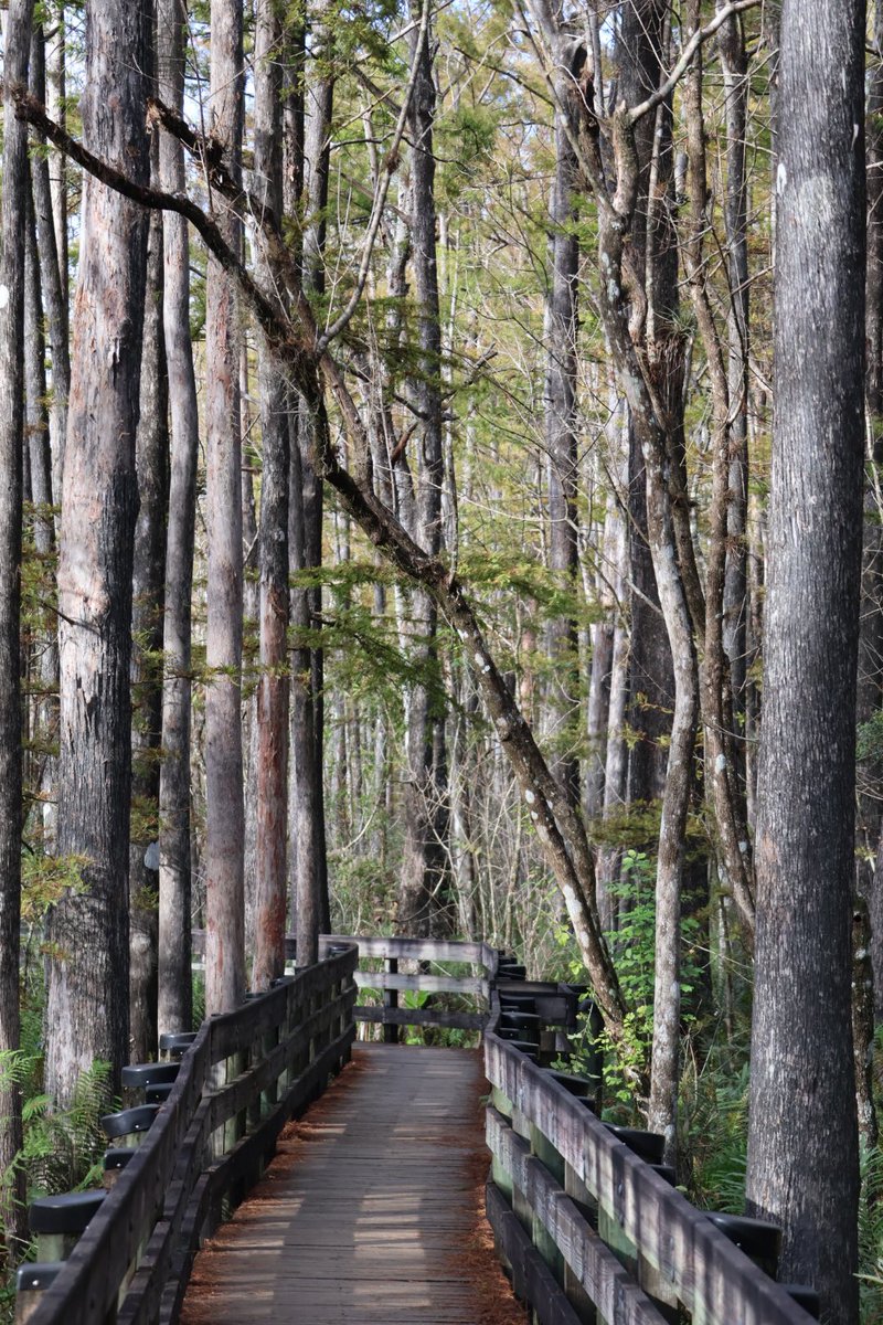 Luke Strominger tweet media