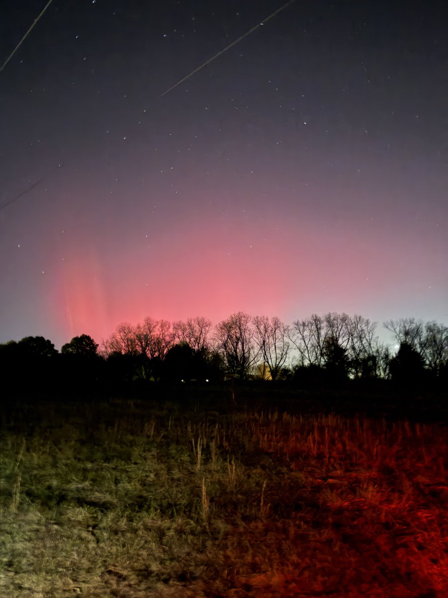 FlyingandLife tweet media