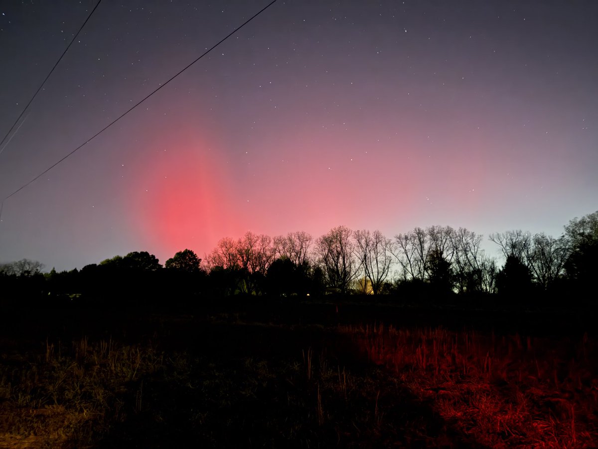 FlyingandLife tweet media