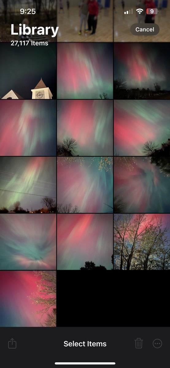 so_basic_jaclyn's tweet image. Ours are red, pink, purple &amp;amp; green I’m dying. No edits no filters just point &amp;amp; shoot on my old iPhone