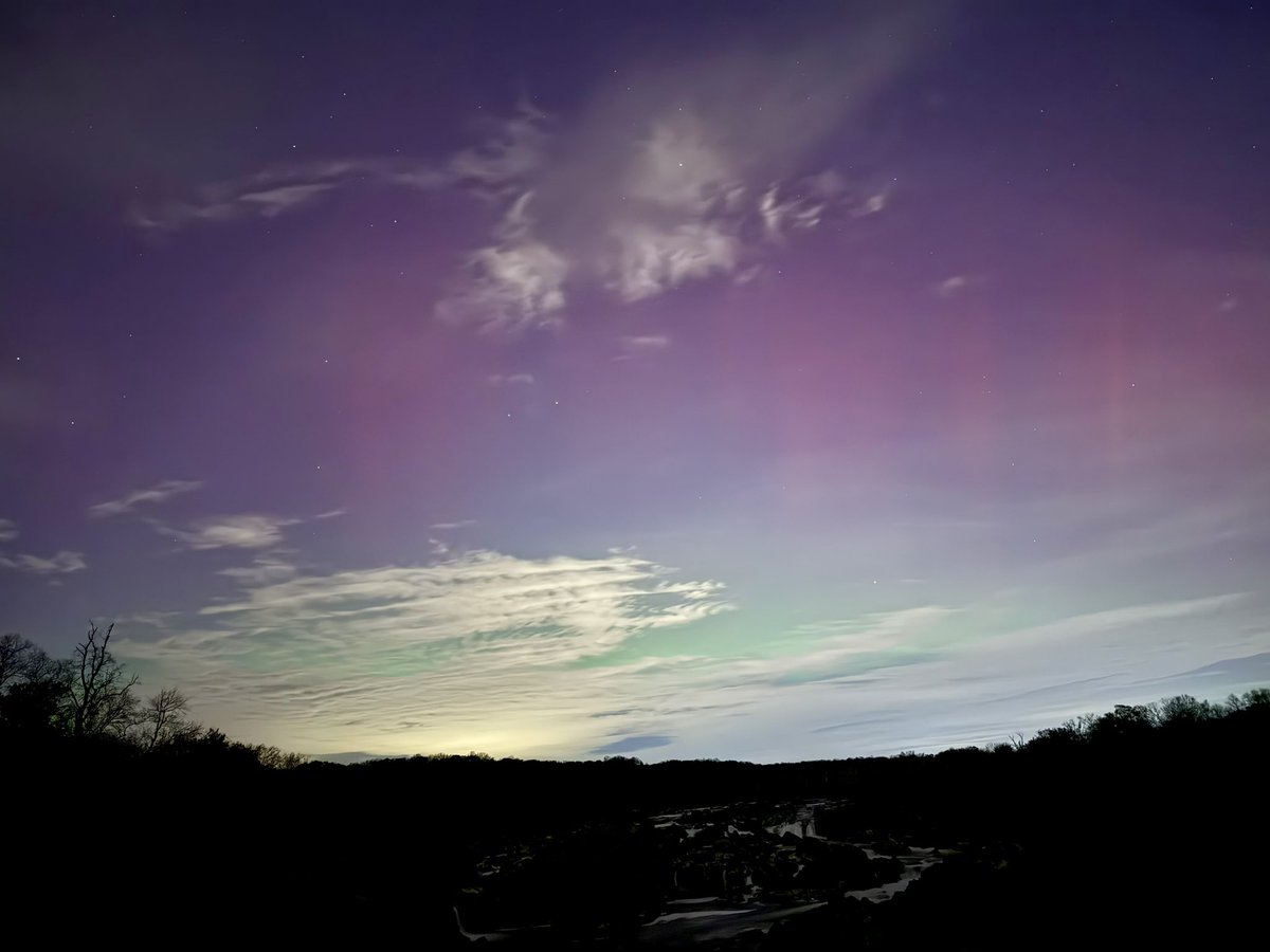 Sarah Anderson tweet media