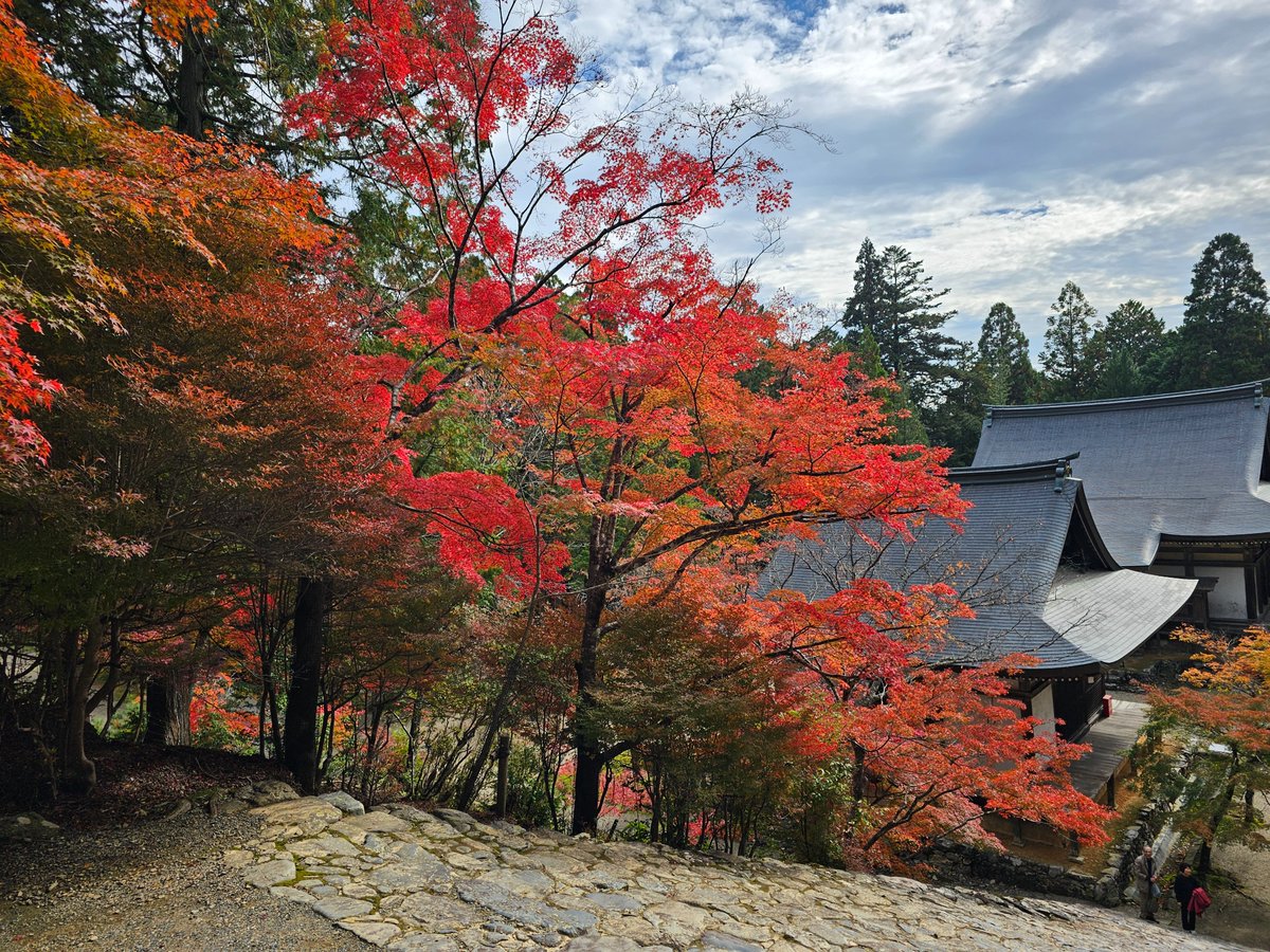 YamagamiShingo's tweet image. 京都•高雄山の神護寺訪問。
山あいの名刹は、🍁見頃を迎えていました。
