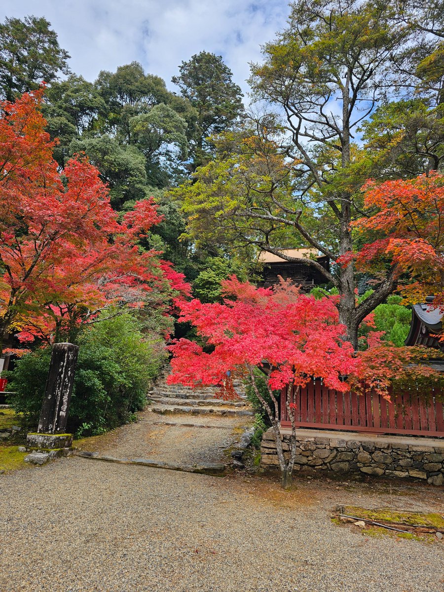 YamagamiShingo's tweet image. 京都•高雄山の神護寺訪問。
山あいの名刹は、🍁見頃を迎えていました。