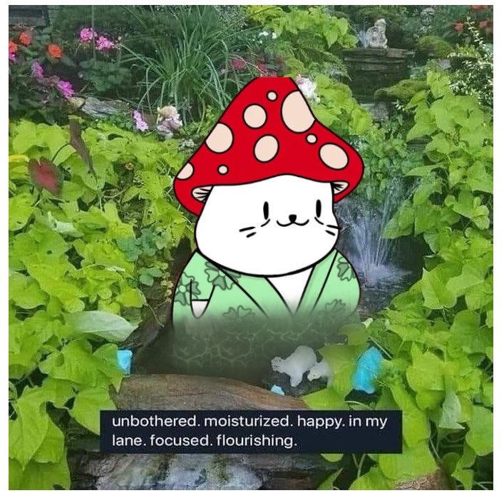 𝙍𝘼𝘿 tweet media