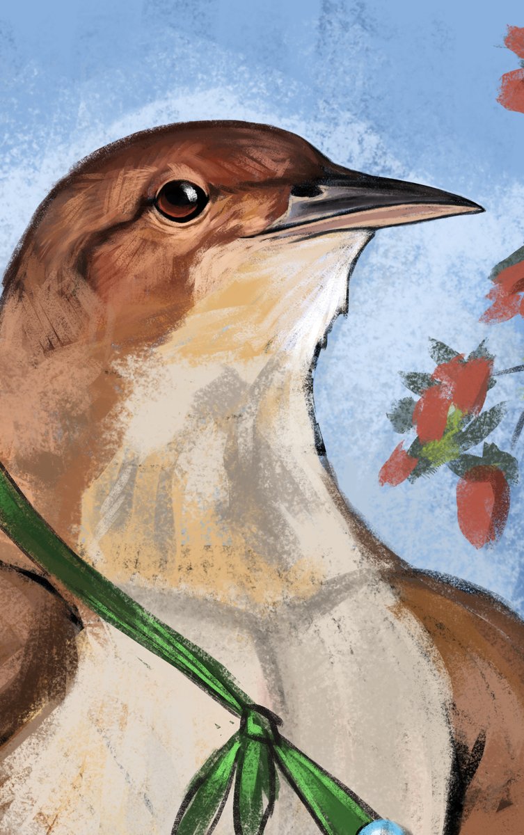 BirdrandomART's tweet image. Dejo un "rapidito" por el Día de la Tradición, que fue el 10 de noviembre...