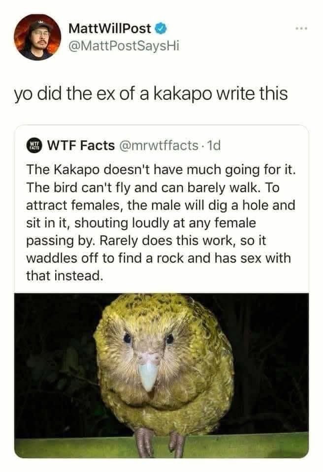 Rothmus 🏴 (@rothmus) on Twitter photo 