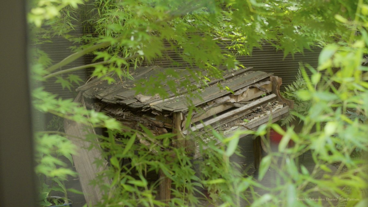 #坂本龍一 の 　　　   
　　　   傍にあった 　　　　　　　　
　　　　　　　   風景 。

映画『Ryuichi Sakamoto: Diaries』11.28 公開
happinet-phantom.com/ryuichisakamot…