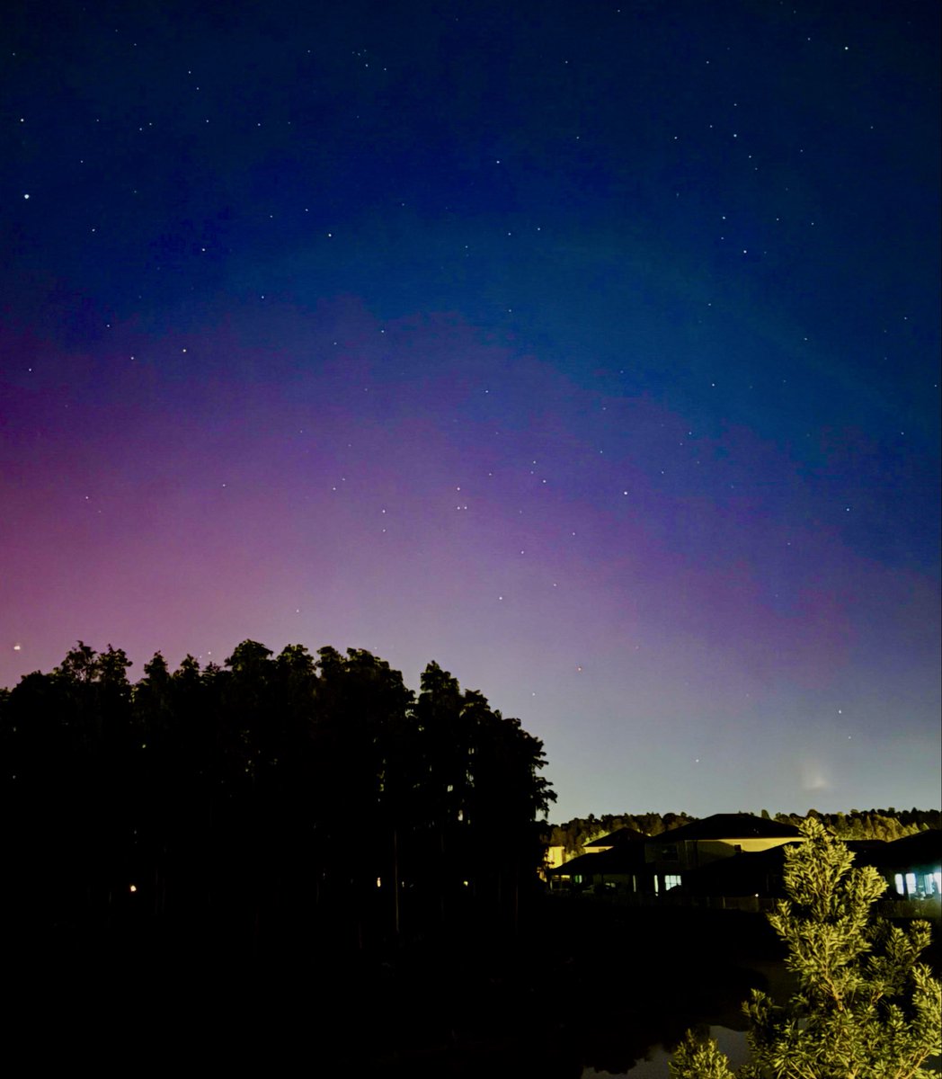 radiolassi's tweet image. Yessss! I just captured Northern Lights from Tampa FL…