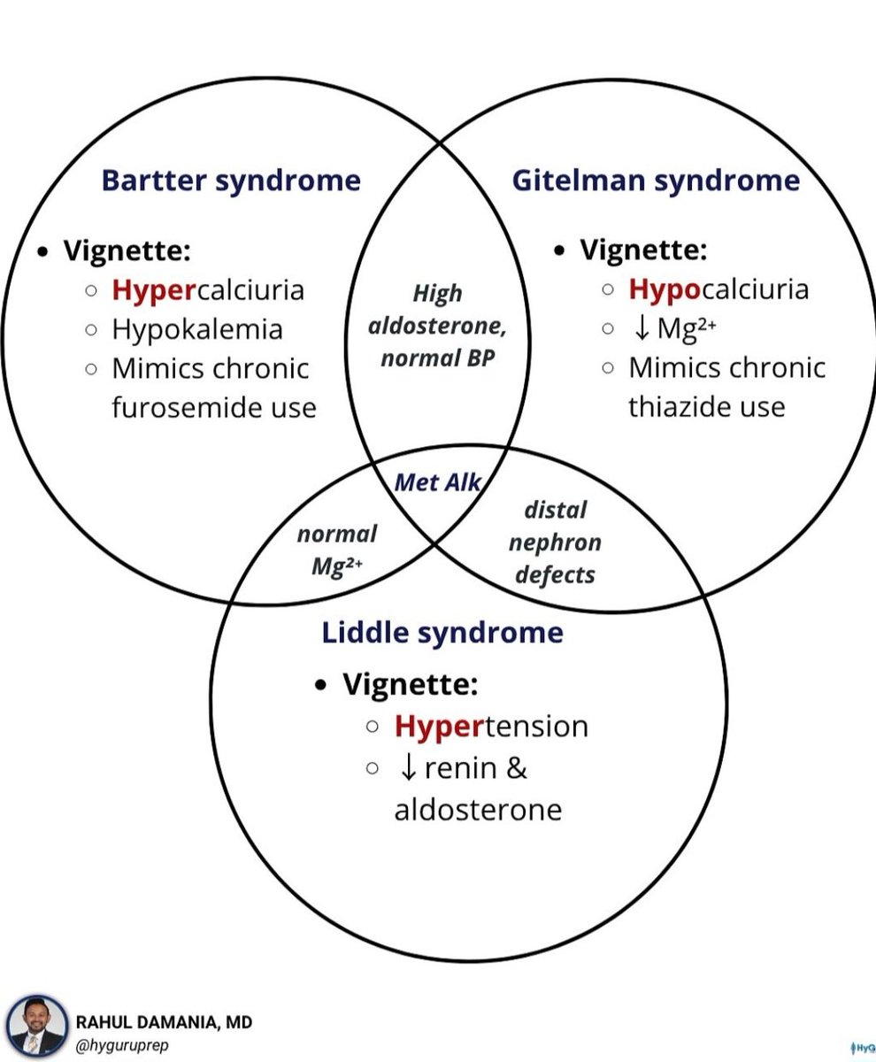 A Venn diagram summarizing the key features of Bartter syndrome, Gitelman syndrome, and Liddle syndrome

These conditions all affect electrolyte transport in different parts of the nephron and lead to hypokalemia and metabolic alkalosis, but they have distinct clinical and