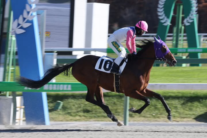 zundacreamchan's tweet photo. 2025.11/12 盛岡2r C2三組

107戦2勝目。やっと勝てた所見れた、
現地居たら発狂してたと思う。
サンドフィッシュくんとゆーりくんありがとう。
サンドフィッシュくんをずっと応援しててよかった。

写真は現地行けない私のために撮ってくれた( @ iwatekeiba_senmon 様) https://t.co/Ke4dTTl16Q
