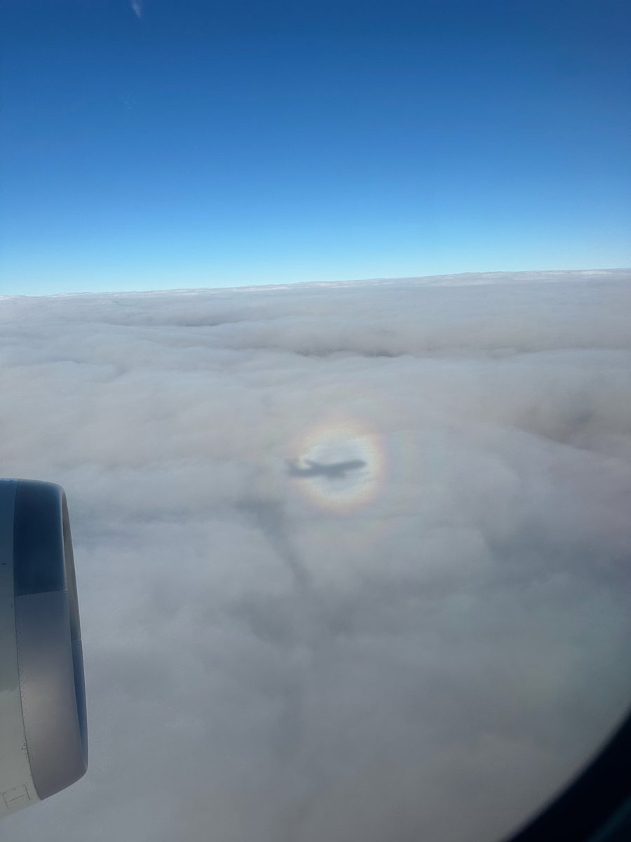 飛行機から虹見えた🌈