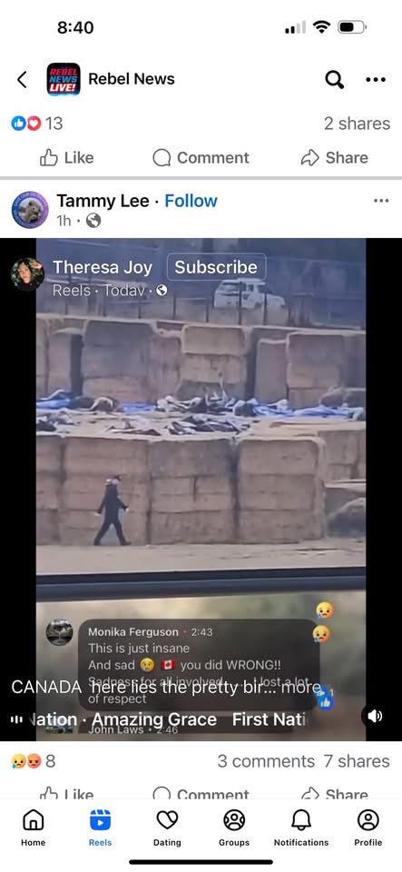 JasonMacinnis4's tweet photo. @RealAlexJones the CFIA and The Canadian Government did this.. The Ostrich Farm in BC Canada. https://t.co/iR0ClSK7th
