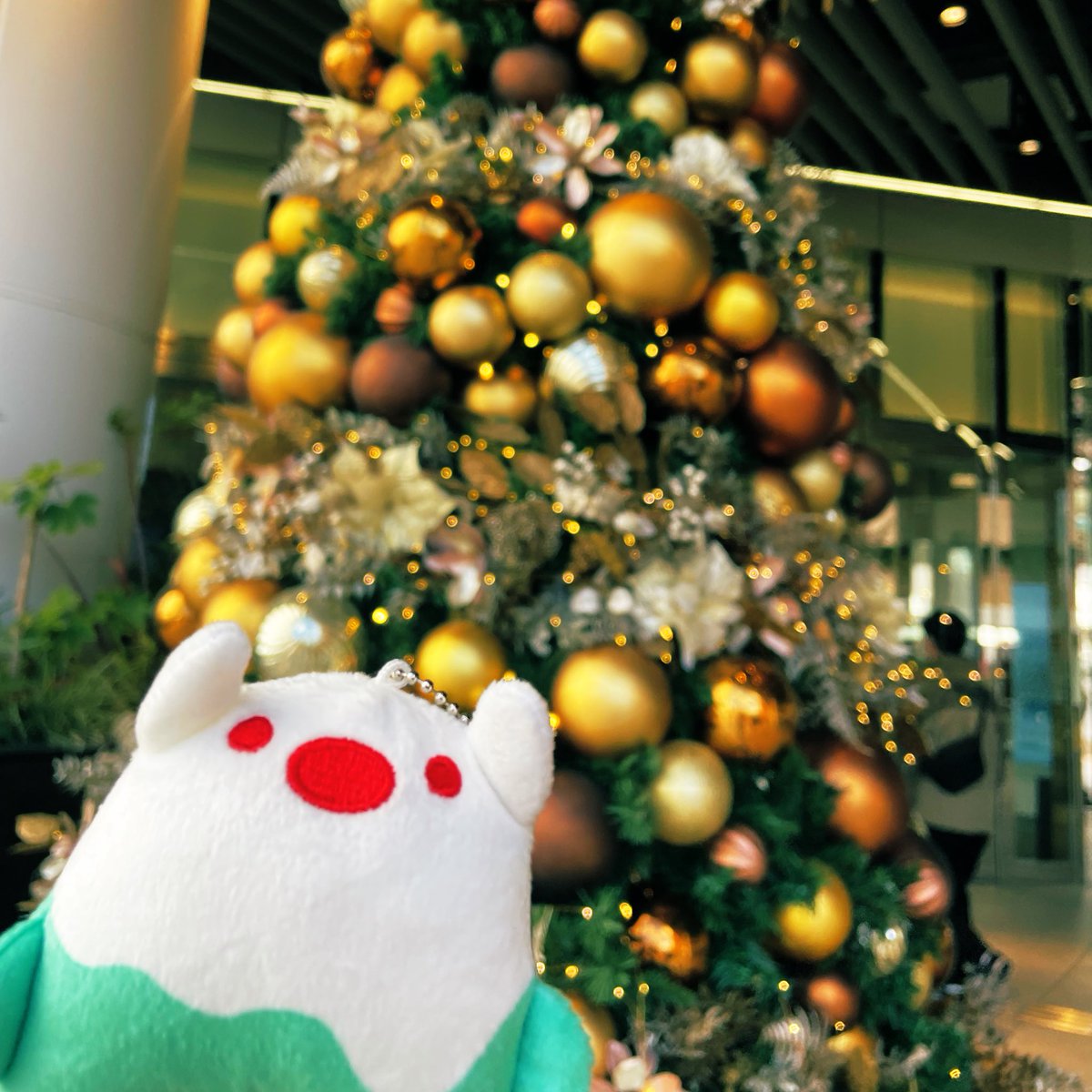 rayflo_pop's tweet photo. 素敵なツリー発見！
でもピントを全部持っていく上の空怪獣ボーｶﾜｲｲw
#上の空怪獣ボー 
#ちしまこうのすけ さん https://t.co/tRvBtx6MZw