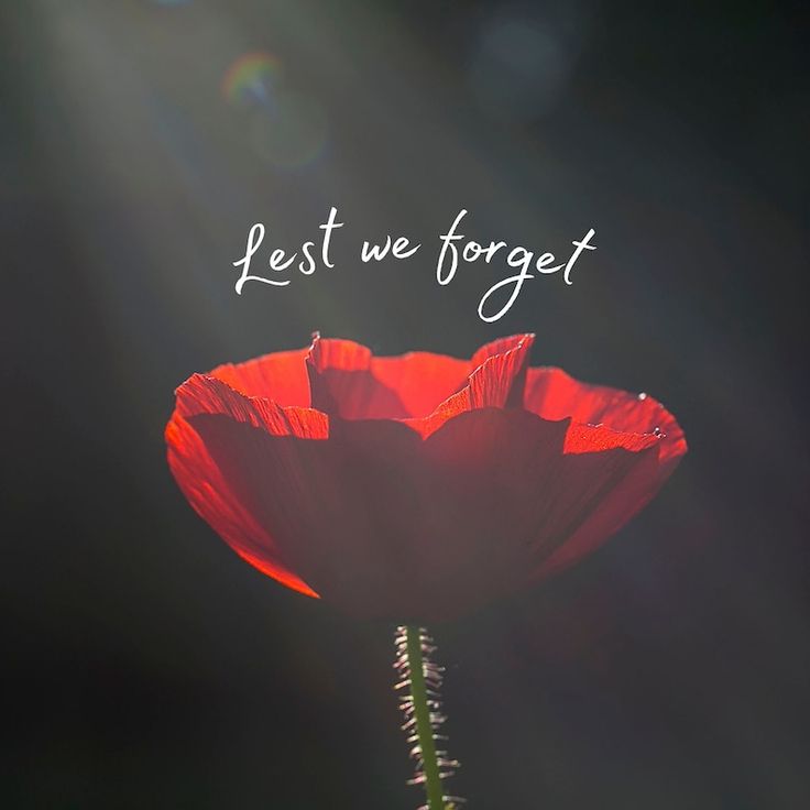 renupsingh's tweet image. Thank you for your service. 
Thank you for your courage.
Thank you for your sacrifice.
Thank you for our freedom. 
#LestWeForget 
.
#InRemembrance #ThankYou #Remember
#CanadaRemembers #RemembranceDay #Canada #Military #Veterans #Service #Celebrate #Life #Love #Freedom #Gratitude