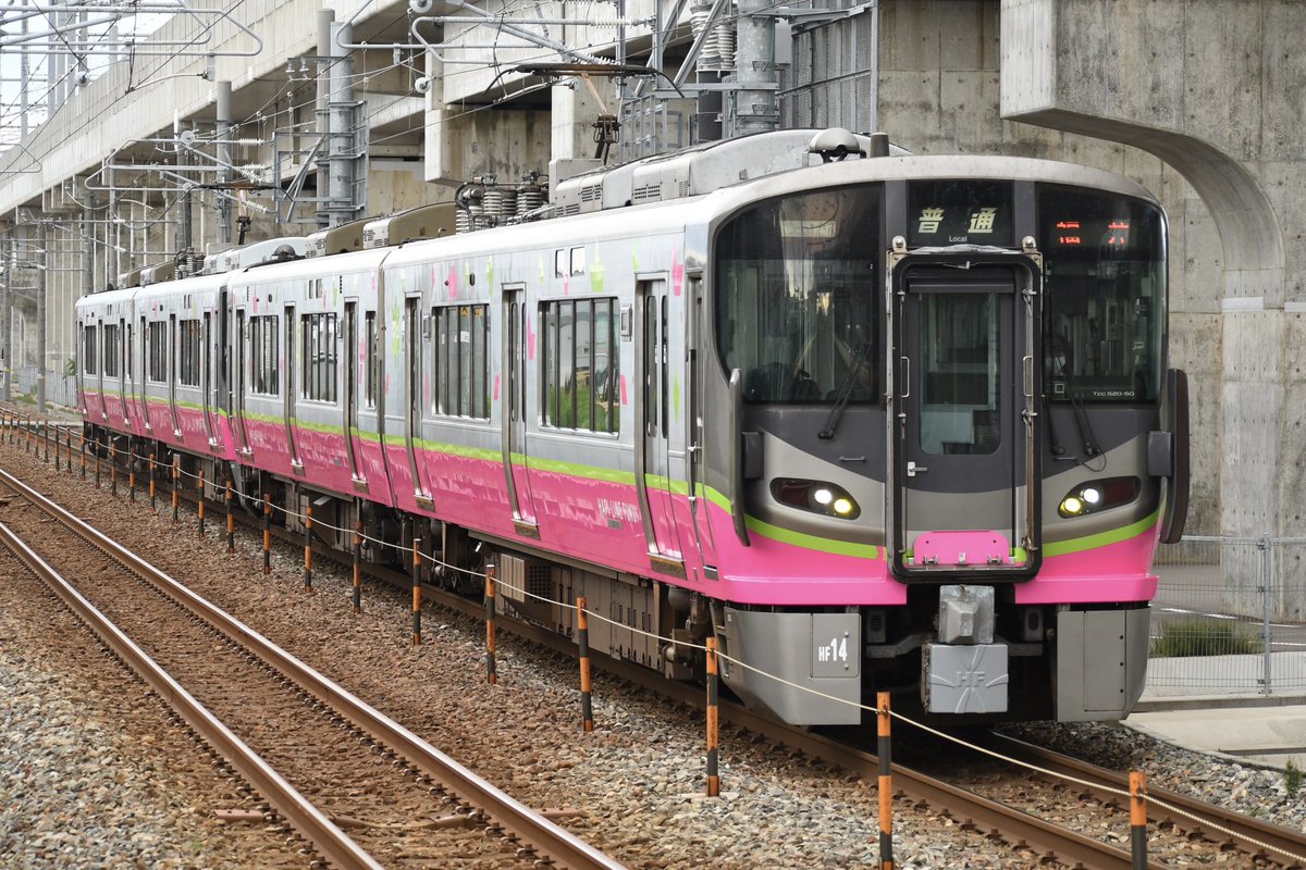 シーラカンス on X